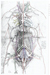 Leonardo's Great Lady - 2006